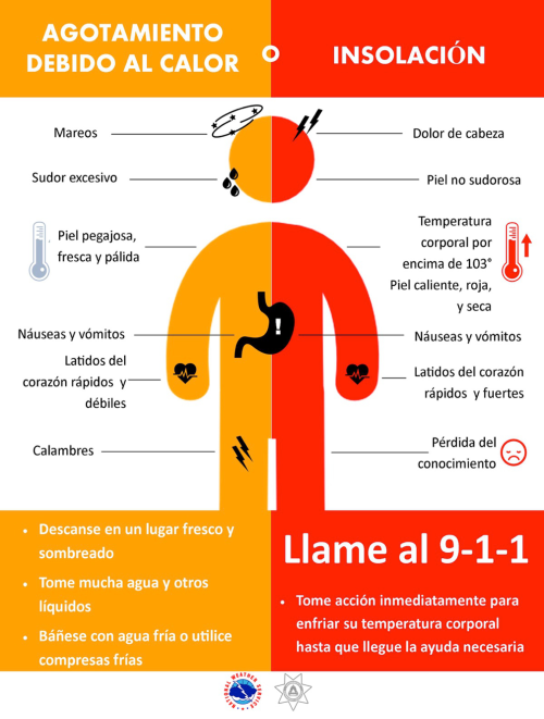 Agotamiento debido al calor o Insolacion